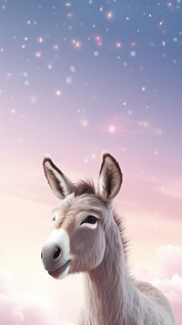 Cute Donkey dreamy wallpaper animal donkey mammal.