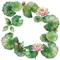 Water lily cercle border flower plant petal.
