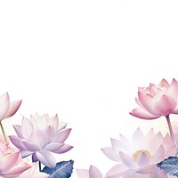 Water lily petals border backgrounds flower plant.