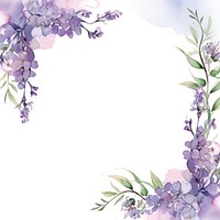Lilac border blossom flower plant.