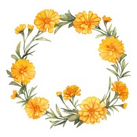 Marigold cercle border wreath flower plant.