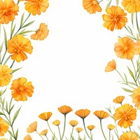 Marigold petals border backgrounds pattern flower.