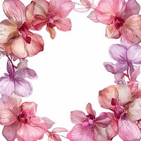 Orchid border backgrounds flower wreath.