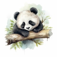 Watercolor Chinese panda sleeping animal wildlife cartoon.