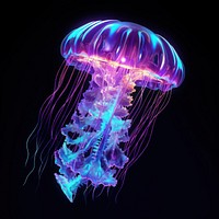 Jellyfish invertebrate transparent translucent.