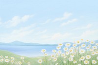 Chamomile backgrounds landscape outdoors.