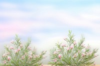 PNG Rosemary backgrounds outdoors rosemary.
