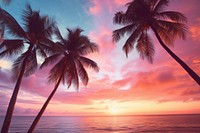 Palm trees on pastel tropical ocean outdoors horizon tropics.