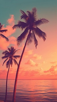 Palm trees on pastel tropical ocean outdoors sunset nature.
