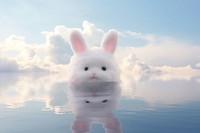 Rabbit on water outdoors animal mammal.