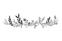 Divider doodle of floral drawing sketch plant.