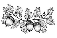 Divider doodle of acorns plant creativity monochrome.