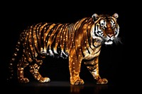Full body tiger wildlife animal mammal.