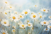 Vintage chamomile flowers backgrounds outdoors blossom.