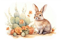 PNG Cactus and rabbit drawing animal rodent.