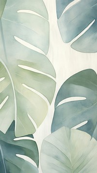 Monstera tropical abstract plant leaf.
