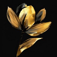 Flower gold brush petal plant black background.