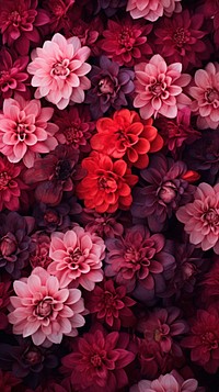 Flower carpet texture wallpaper backgrounds dahlia petal.