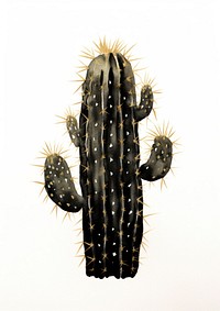 Black color cactus plant white background reptile.