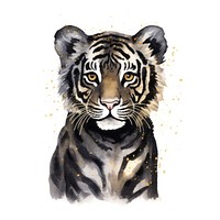 Black color cute tiger wildlife animal mammal.