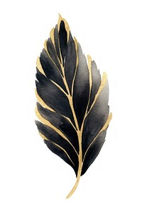 Black color leaf plant white background lightweight.