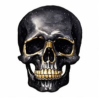 Black color skull white background anthropology halloween.