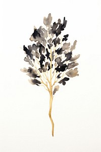 Black color tree painting plant white background.