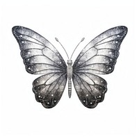 Silver butterfly animal insect white background.
