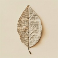 Ephemera paper leaf plant art pattern.