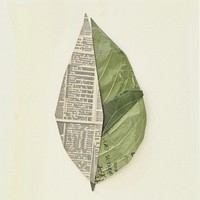 Paper spring leaf plant art currency.
