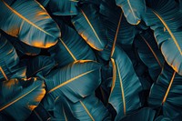 Bioluminescence banana leaf background backgrounds outdoors plant.