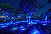 Bioluminescence trees landscape background light outdoors nature.
