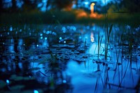 Bioluminescence swamp background light outdoors nature.