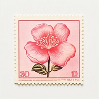 Sakura with Risograph style flower plant pink.