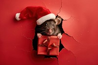 Happy mouse peeking out animal christmas portrait.
