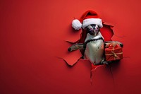 Happy penguin peeking out animal christmas gift.