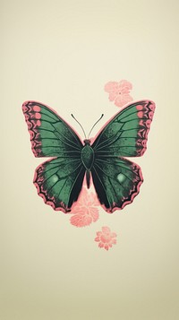 Butterfly with flower animal insect green.
