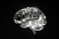 Human brain jellyfish black background invertebrate.