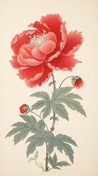 Traditional japanese hand holidng peony flower plant art.
