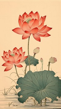 Traditional japanese lotus and buddha flower sketch plant.