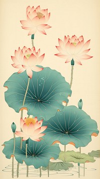 Traditional japanese lotus flowers plant petal lily.