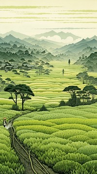Traditional japanese rice field agriculture landscape grassland.