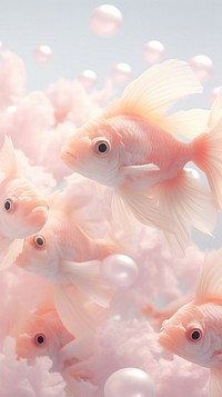 Fish goldfish animal underwater.