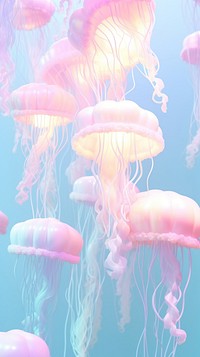 Jellyfish invertebrate backgrounds transparent.