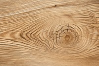 Oak wood year pattern day light backgrounds hardwood plywood.