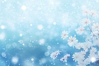 Nature background nature flower snow.