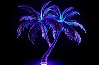 Palm tree light purple plant.