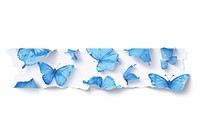 Horizontal butterfly pattern paper adhesive strip turquoise animal nature.