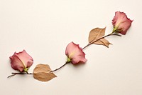 Old rose flower paper adhesive strip petal plant leaf.