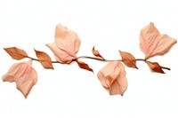 Old rose flower paper adhesive strip plant petal leaf.
